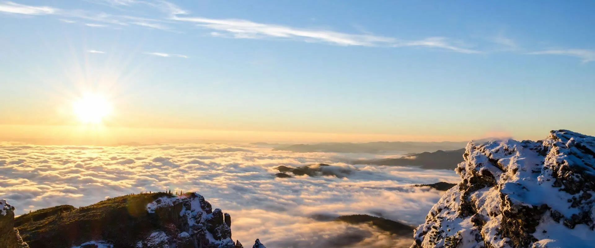 Equipped with advanced processing equipment